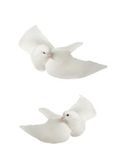 Sticker -   Two White dove in flight on a white