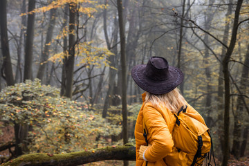 Wall Mural - hiker with hat and backpack looking into misty forest