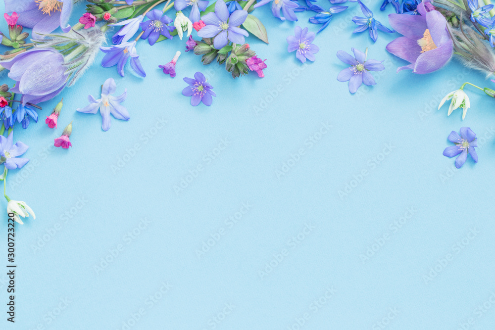 spring flowers on blue background - obrazy, fototapety, plakaty 