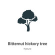 Bitternut hickory tree vector icon on white background. Flat vector bitternut hickory tree icon symbol sign from modern nature collection for mobile concept and web apps design.