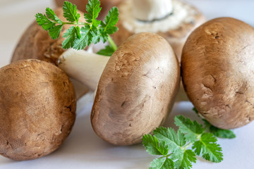 Wall Mural - Some fresh raw champignons with green leaves on the white background closeup.