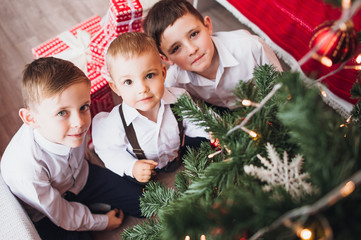 little boys decorate Christmas tree, they touch different decorations and lights