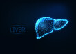Futuristic glowing low polygonal human liver isolated on dark blue background.