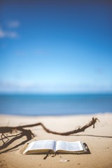 Vertical closeup shot of an open bible on a beach shore with a blurred background at daytime