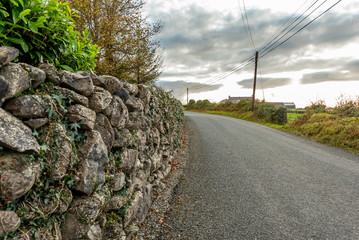 Canvas Print - ireland landscpae with stone fence