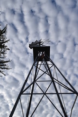 Wall Mural - Windmill Clouds