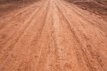 Wall Mural - Spacious dirt road low angle texture background