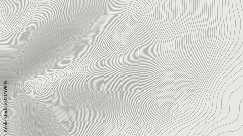 Cuadros en Lienzo The stylized height of the topographic contour in lines and contours