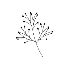 Wall Mural - branch with leaf on white background