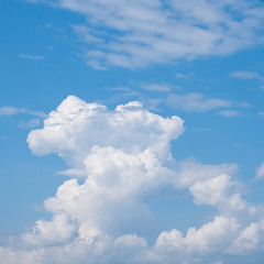 Wall Mural - white cloudy in the blue sky