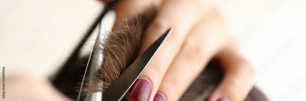 Female Hands Cutting Brown Hair with Scissors - obrazy, fototapety, plakaty 