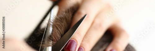 Fotografía Female Hands Cutting Brown Hair with Scissors