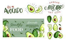 Hand Drawn Watercolor Painting On White Background. Vector Illustration Of Avocado Fruits Sketch Elements, Eco Healthy Ingredients Vector Illustration. Great For Poster, Banner, Voucher, Coupon.
