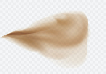 Wall Mural - desert sandstorm, brown dusty cloud or dry sand flying with gust of wind, explosion realistic textur