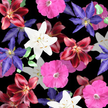 Beautiful Floral Background Of Clematis, Lilies And Petunias. Isolated