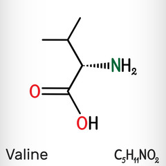 Wall Mural - Valine, Val molecule, is α-amino acid . It is used in the biosynthesis of proteins.  Structural chemical formula.