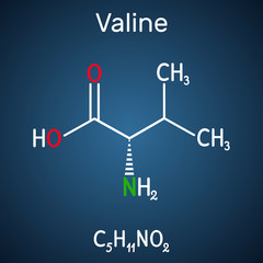 Sticker - Valine, Val molecule, is α-amino acid . It is used in the biosynthesis of proteins.  Structural chemical formula on the dark blue background