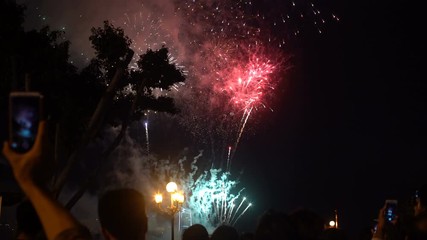 Wall Mural - People with smartphones watching fireworks