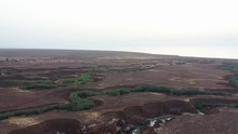 Aerial Shot Brown Desert Cracks Filled With Green Vegetation, Drone Shot