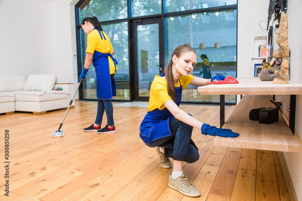 professional cleaning service. Two women in working uniform, in aprons ...