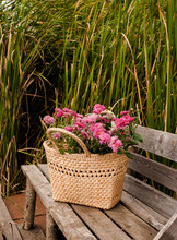 Flowers In A Basket