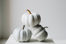 White Small Pumpkins On A White Background