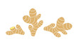 Ginger logo. Isolated ginger on white background