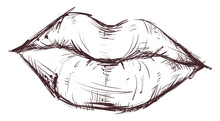 Lips Drawing, Illustration, Vector On White Background.