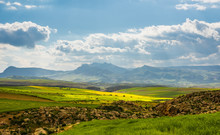 Panorama Sunny Green Slopes Of Ifrane At Moyen Atlas Mountains, Morocco