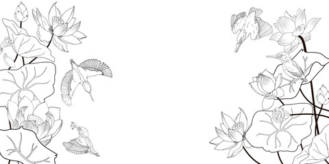 Wall Mural - Lotus flowers and kingfishers, coloring, a black and white vector illustration