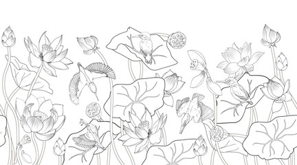 Wall Mural - Lotus flowers and kingfishers, coloring, a black and white vector illustration