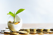 Hatched egg and coins with small plant tree. Pension fund, 401K, Strategies and plan for passive income. Saving money and investment. Risk management for business growth. Manage money in retirement.