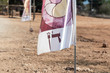 A flag with the name Dan - written in Hebrew - one of the tribes of Israel on the archaeological site Ancient Shiloh in Samaria region in Benjamin district, Israel