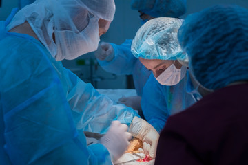 Children's surgeons perform urological surgery. A man and a woman in a mask, and a blue sterile gown, in the operating room.