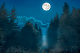 Fototapeta Na ścianę - A hiking trail on a ridge in Germany. It is night and the full moon is over the way. It is foggy and the scenery is bathed in mist.
