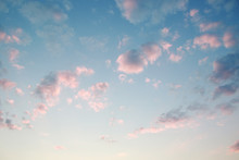 Pastel Pink Evening Cumulus Cloud