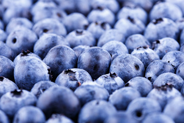 Wall Mural - Summertime fresh farmer blueberries fruit pattern background