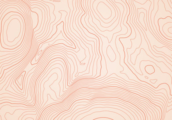 Leinwandbilder - Abstract topographic map background with height lines
