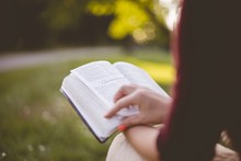 Closeup Shot Of A Female Sitting While Reading The Bible With A Blurred Background