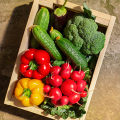 Wall Mural - Fresh Vegetables in sun lights in eco wooden box