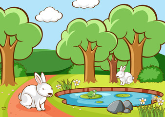 Sticker - Scene with bunnies in the park