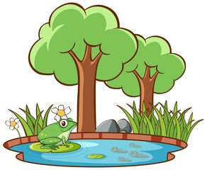 Poster - Isolated picture of frog by the pond