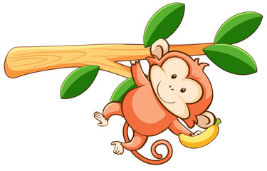 Canvas Print - Cute monkey on white background