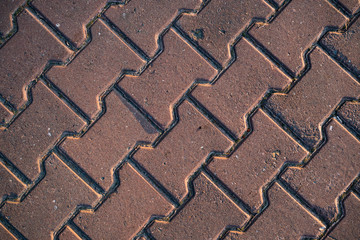 Texture of paving slabs overgrown with grass. Background image of a stratum stone