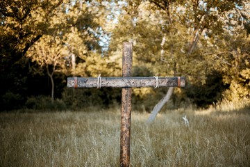 Wall Mural - Closeup shot of a wooden cross in a grassy with a blurred background