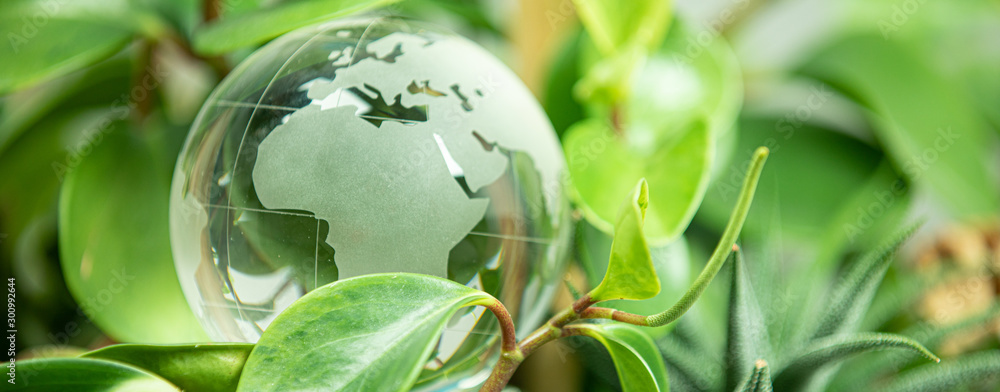 green earth concept glass sphere - obrazy, fototapety, plakaty 