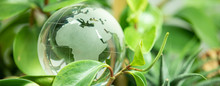 Green Earth Concept Glass Sphere