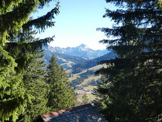 Bergblick