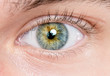 © oz - human eye detail macro close-up shot
