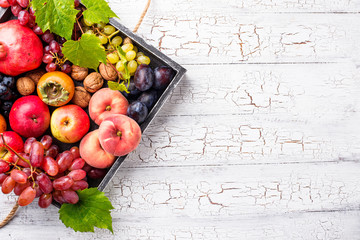 Wall Mural - Various autumn fruits. Harvest concept